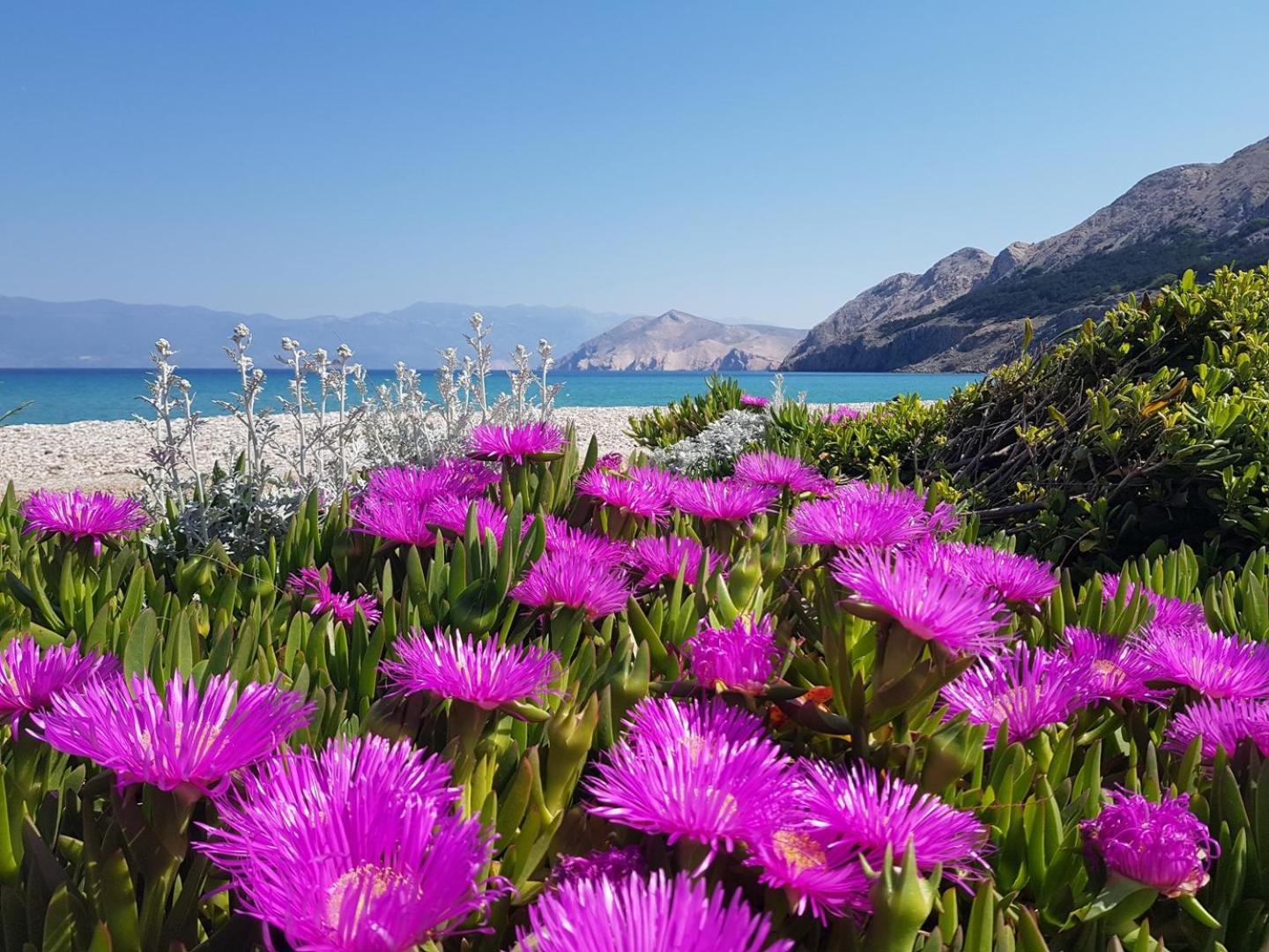 Apartments Lovincic Baška Екстериор снимка